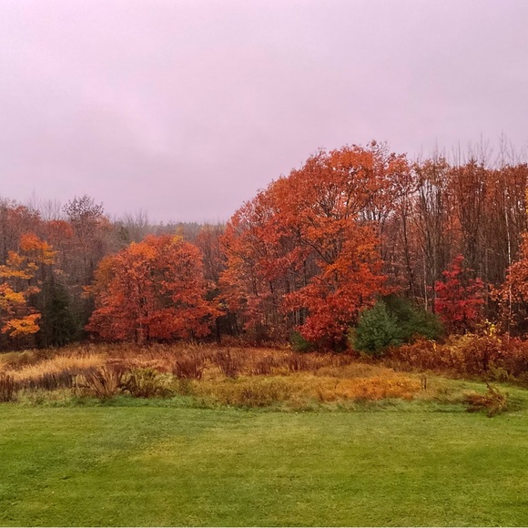 Meet your Posher, Kye - Picture 11 of 16